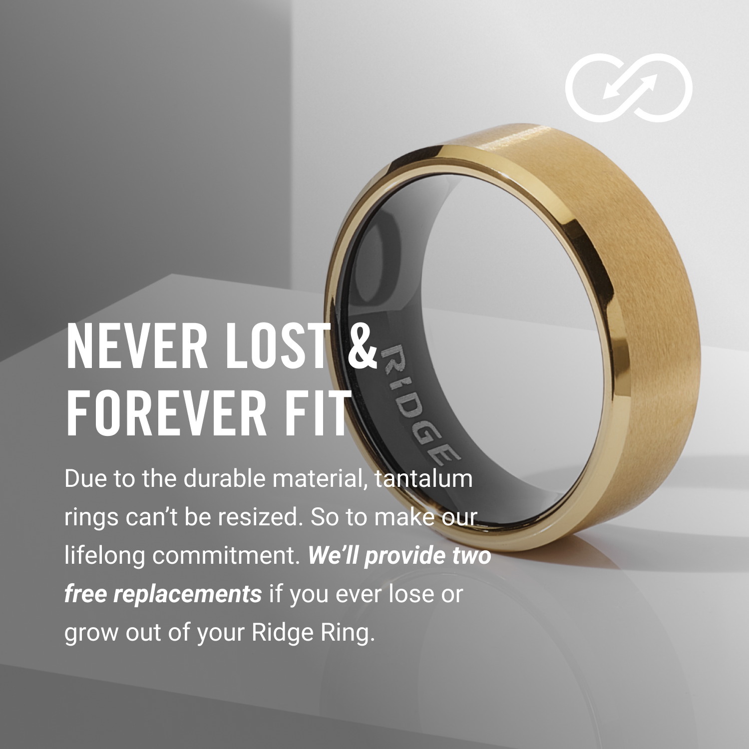 Ridge 8mm Beveled Ring Set - 24K Gold | Tantalum
